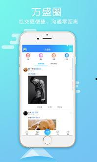 万盛最新爆料,揭秘神秘项目背后的惊人真相